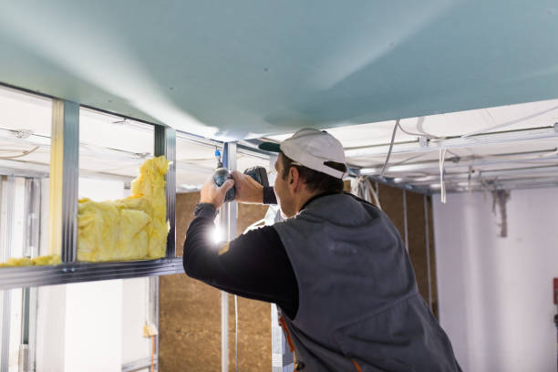Best Eco-Friendly Insulation in Englewood, NJ